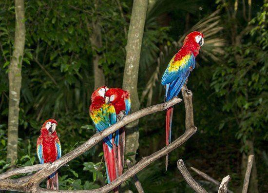 Parque Los Fundadores